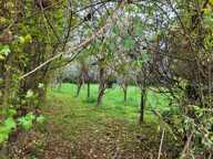 Petite Maison de campagne à vendre, 2 pièces, GERMIGNY L'EXEMPT (18) — photo 3
