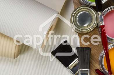 Commerce 5 pièces 55000 €