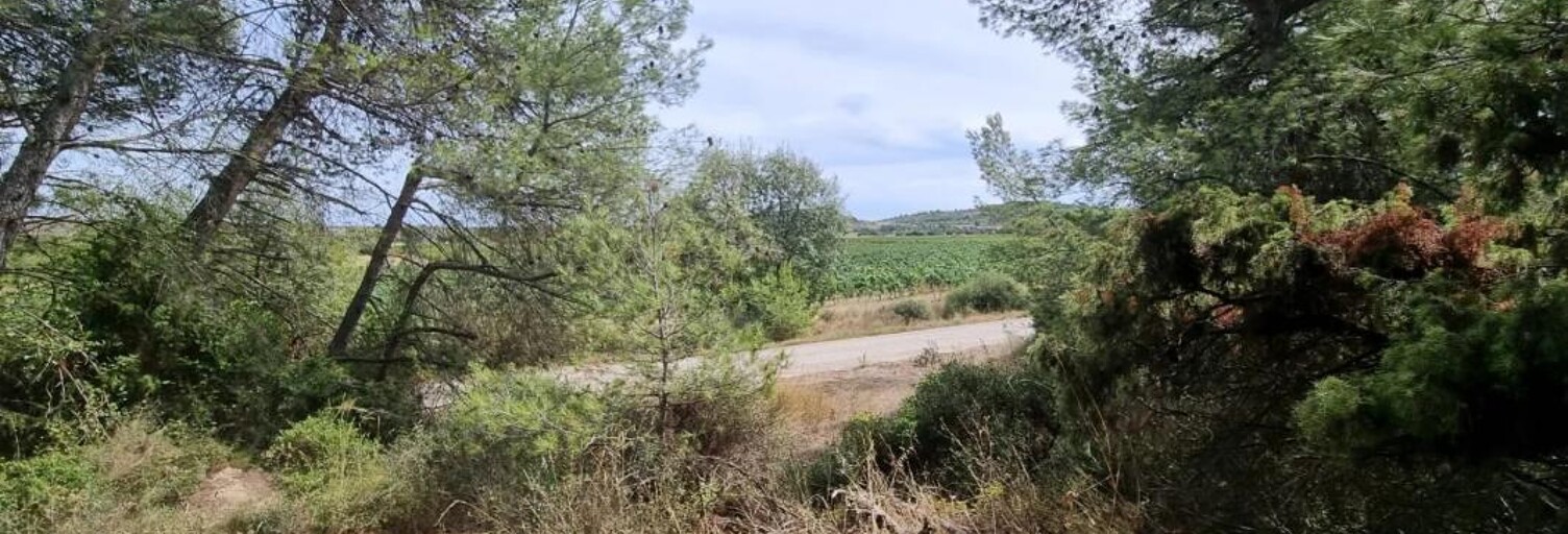 Terrain  2130 m² à vendre à Pouzols-Minervois (11120)
