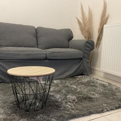 Appartement 2 pièces 553 €