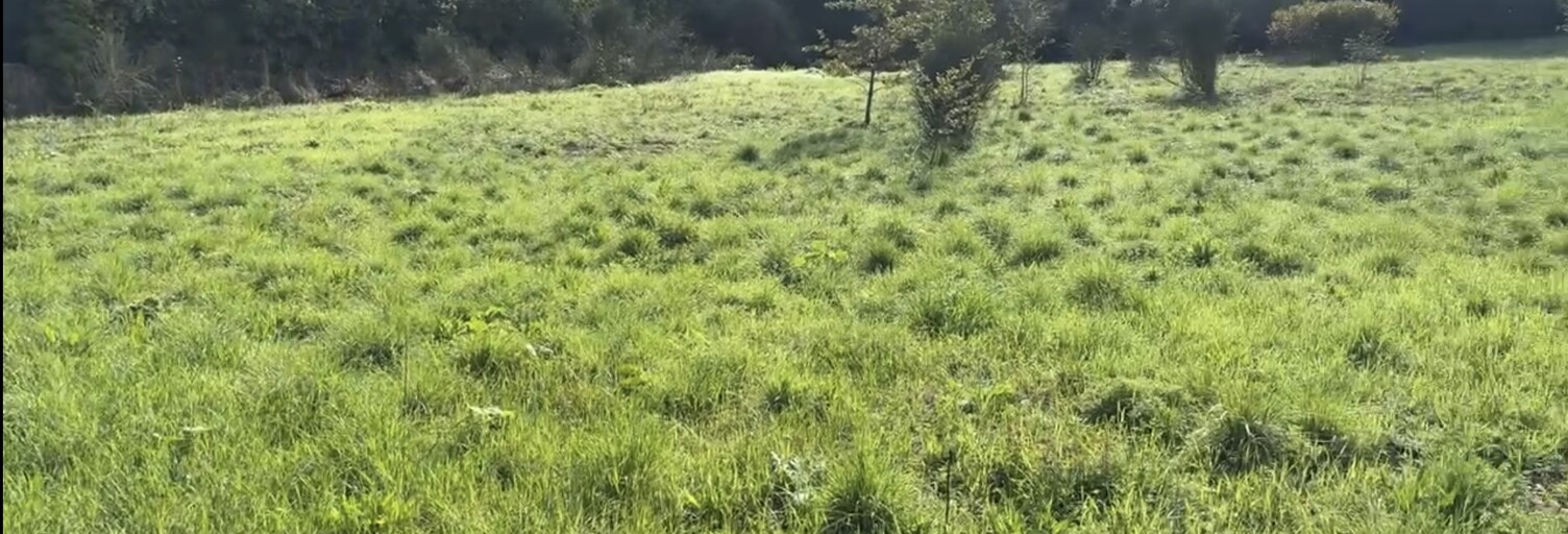 Terrain 731 m² à construire Saint-Maximin-la-Sainte-Baume (83470)