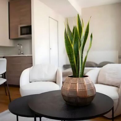 Appartement 1 pièces 950 €