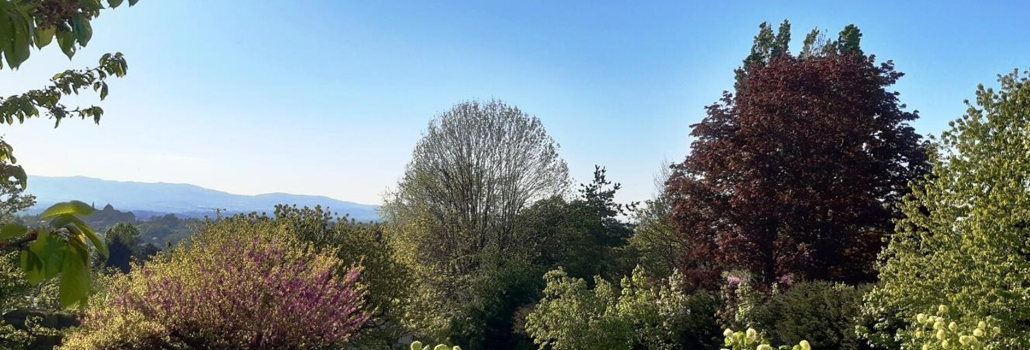 Terrain  1231 m² à vendre à Sainte-Foy-lès-Lyon (69110)