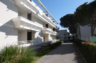 Appartement 1 pièces 556 €