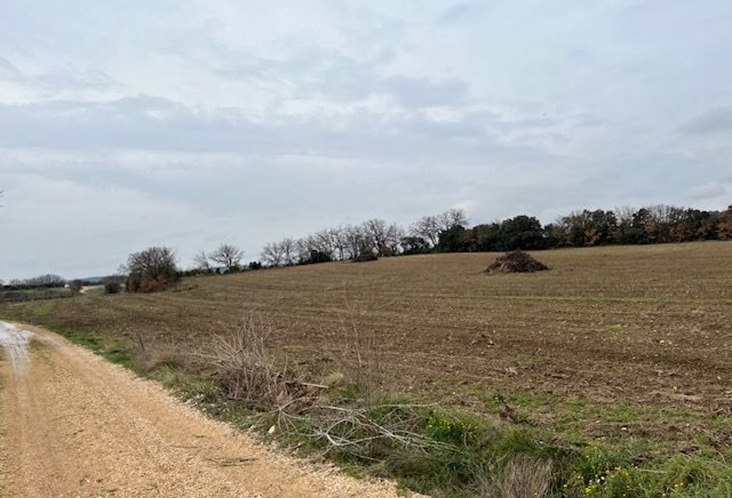 A Saint Hilaire  d'Ozilhan Beau Terrain agricole non constructible  . PLUS DE 2 HECTARES — photo 1