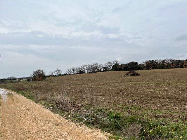 A Saint Hilaire  d'Ozilhan Beau Terrain agricole non constructible  . PLUS DE 2 HECTARES — photo du bien