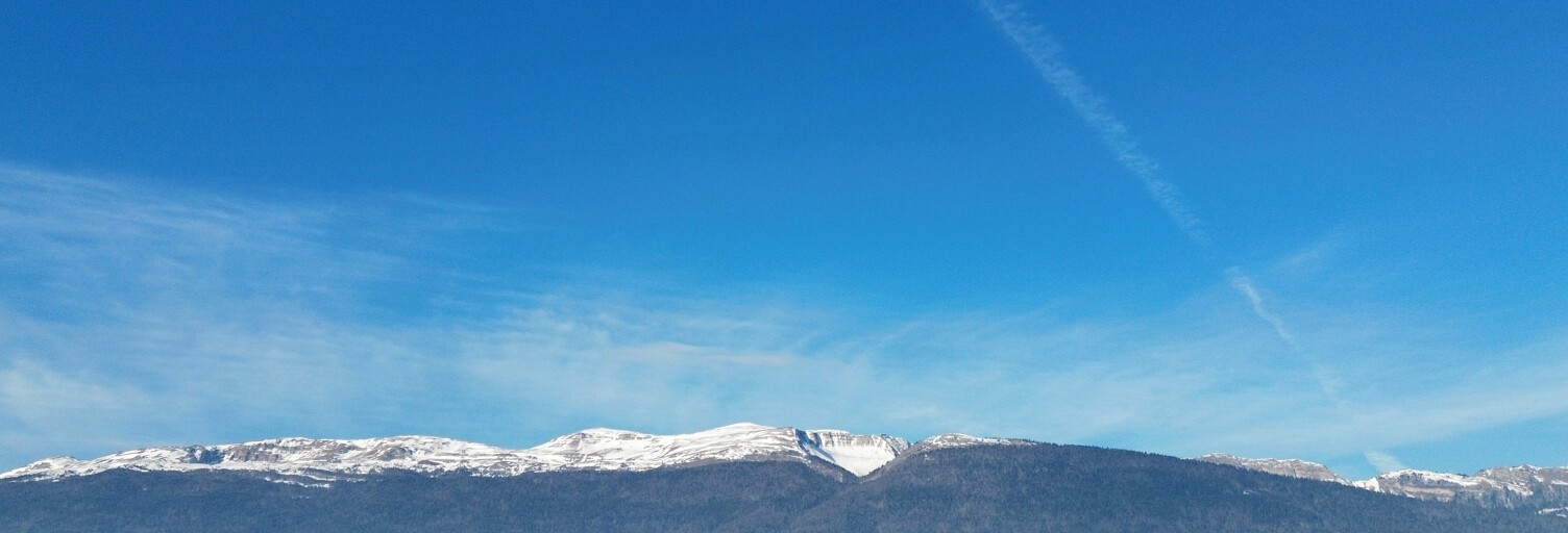 Terrain   m² à vendre à Ségny (01170)