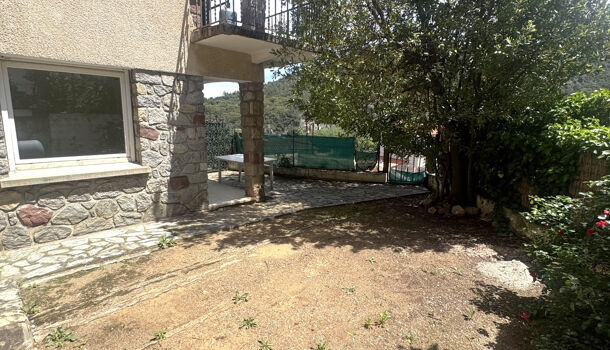 Appartement 2 pièces  à louer Amélie-les-Bains-Palalda 66110