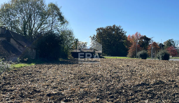 Local d'activités  à vendre Nousty 64420