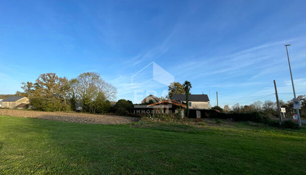 Local d'activités  à vendre Nousty 64420