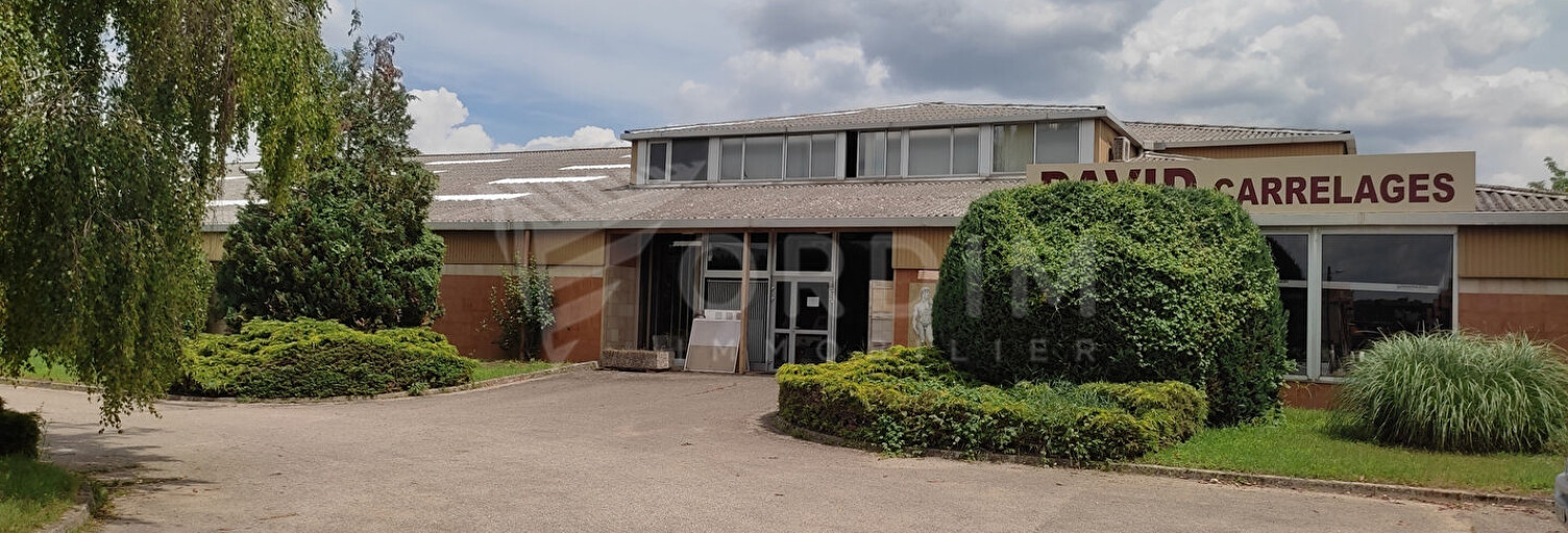 Commerce  3400 m² à louer à Auxerre (89000)