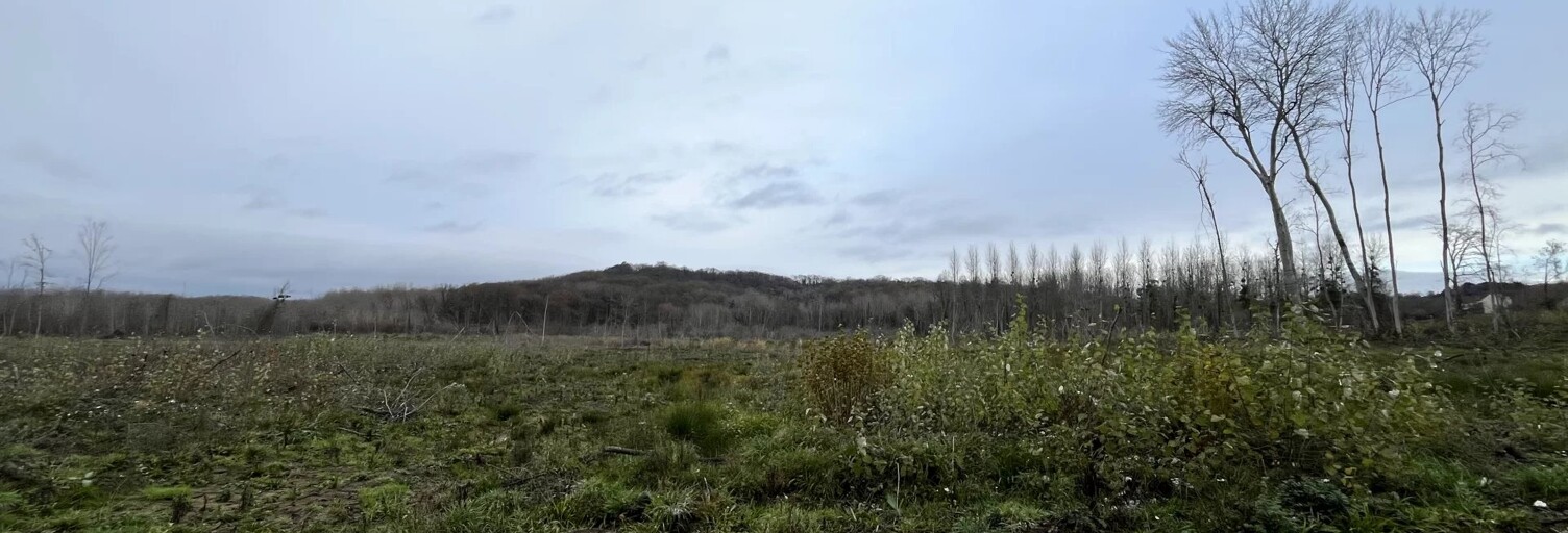 Terrain  110312 m² à vendre à Brenelle (02220)