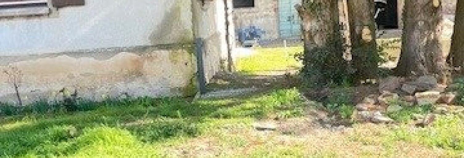 Appartement 4 Pièces 100 m² à vendre à Logelheim (68280)