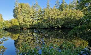 Terrain  5368 m² à vendre à Nieul-le-Dolent (85430)