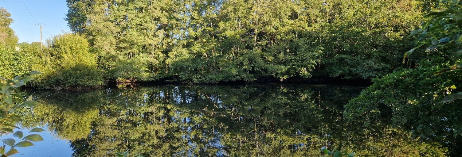 Terrain  5368 m² à vendre à Nieul-le-Dolent (85430)