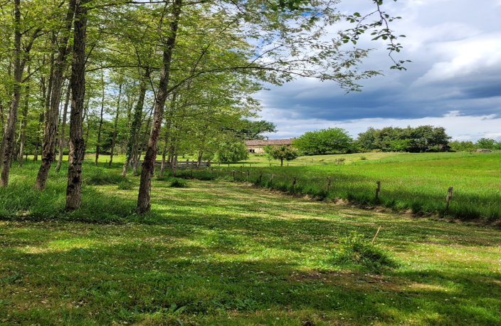 landaise en pierre sur un site bucolique à l abri des regard — photo 3