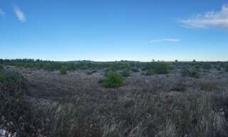 Terrain  21840 m² à vendre à Salses-le-Château (66600)