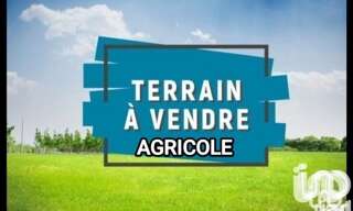 Terrain  12587 m² à vendre à Salses-le-Château (66600)