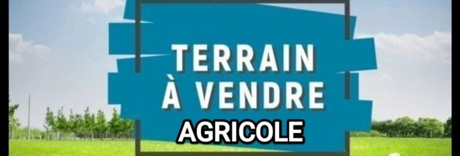 Terrain  12587 m² à vendre à Salses-le-Château (66600)