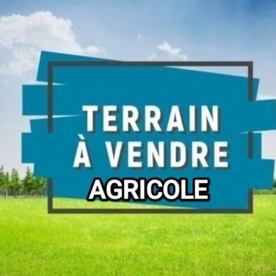 Terrain  28000 €