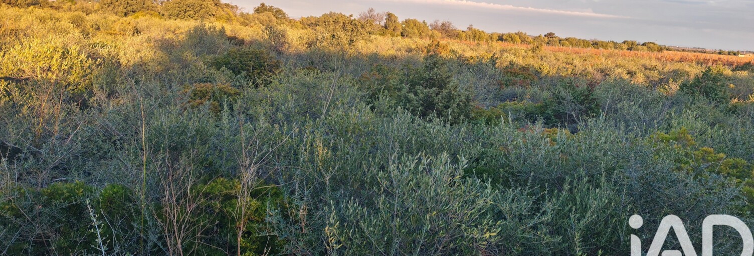 Terrain  3135 m² à vendre à La Palme (11480)