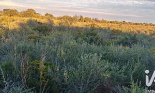 Terrain  3135 m² à vendre à La Palme (11480)