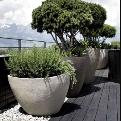 Appartement 2 pièces 298900 €