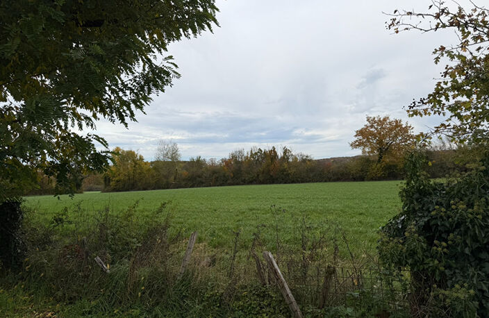 La Jolie Demeure — photo 4