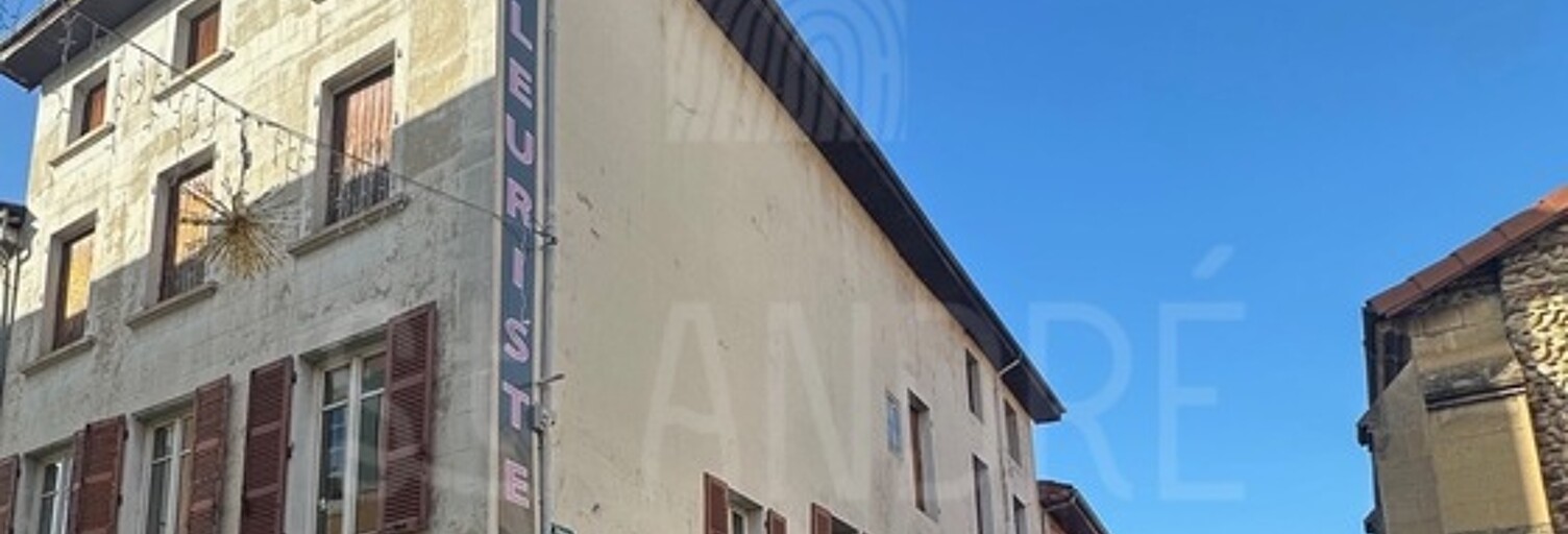 Immeuble  433 m² à vendre à Beaurepaire (38270)