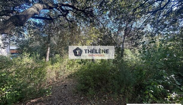 Bureau  à vendre Saint-Gély-du-Fesc 34980