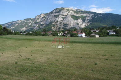 Appartement 4 pièces 2354 €