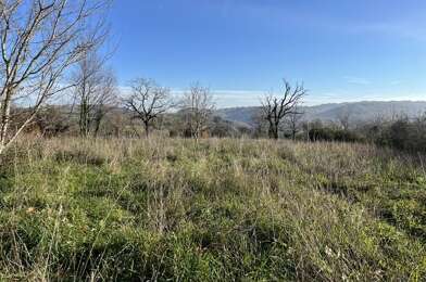 Terrain  40000 €