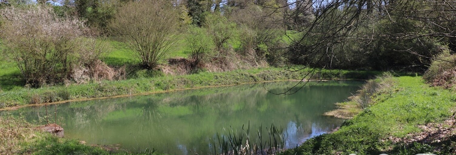 Terrain  4920 m² à vendre à Plémet (22210)