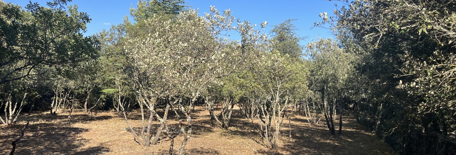 Terrain  845 m² à vendre à Cabrières-d'Avignon (84220)