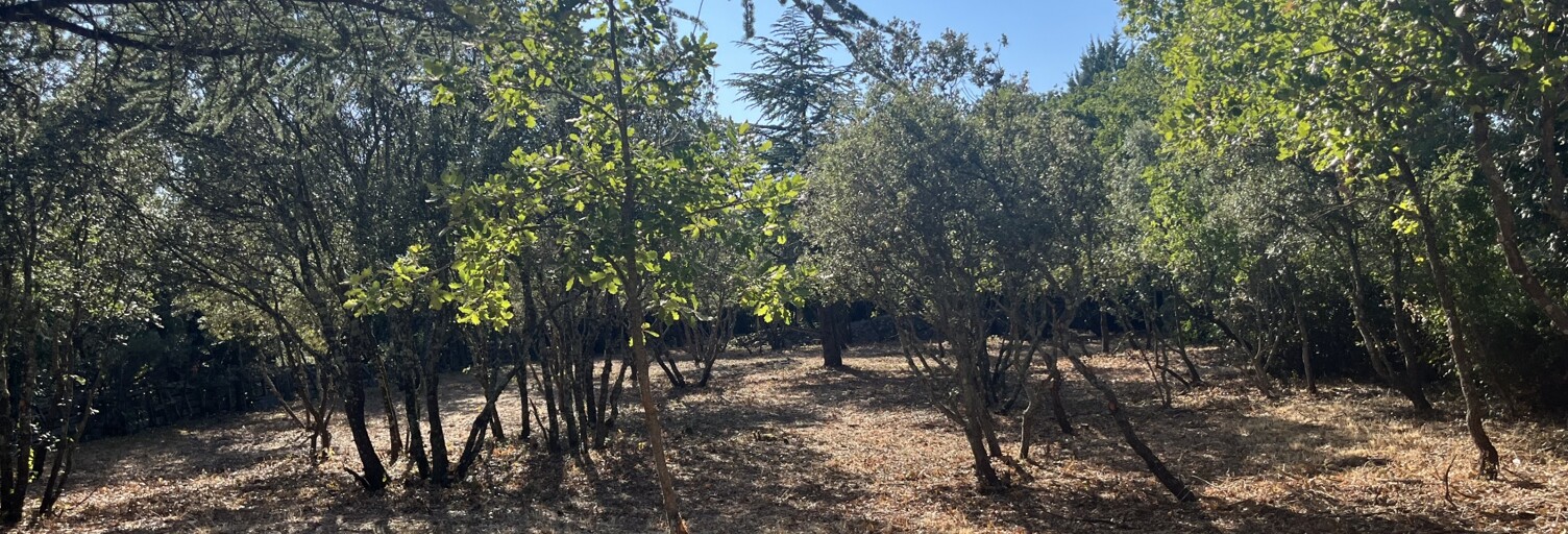 Terrain  720 m² à vendre à Cabrières-d'Avignon (84220)