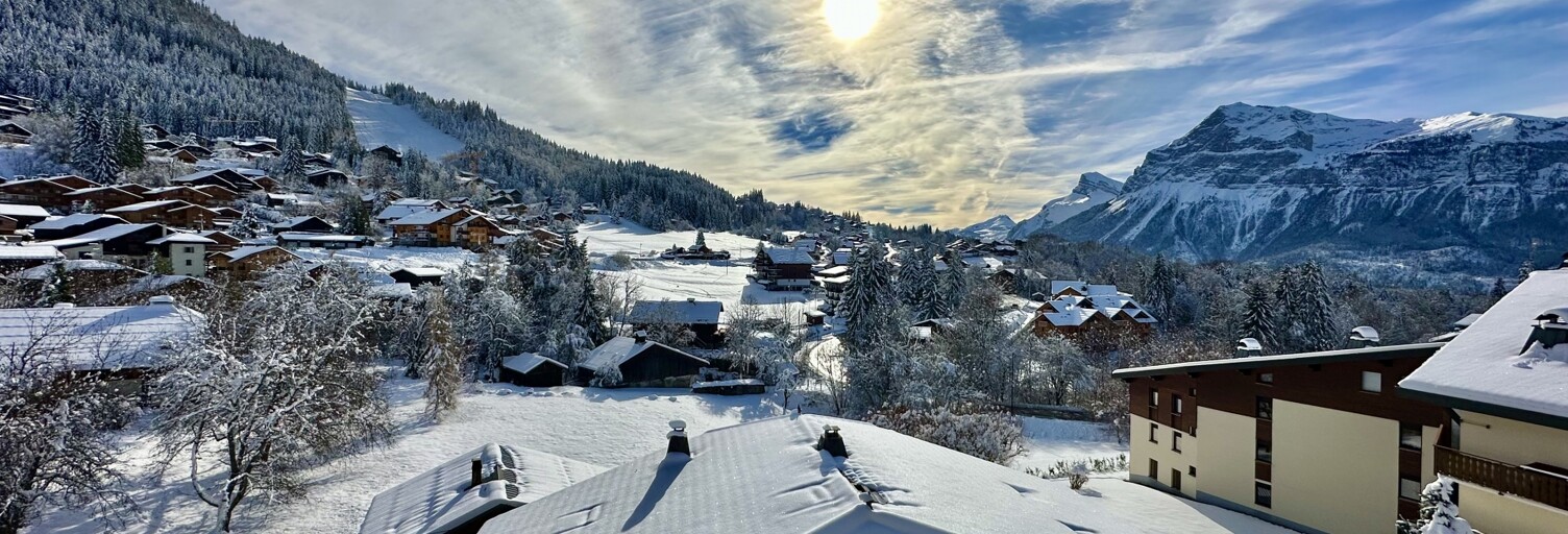 Appartement 1 Pièce 25 m² à vendre à Arâches-la-Frasse (74300)
