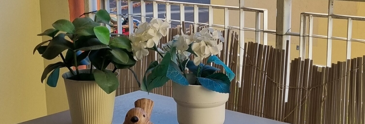 Appartement 4 Pièces 81 m² à vendre à Tarbes (65000)