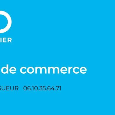 Commerce  295000 €