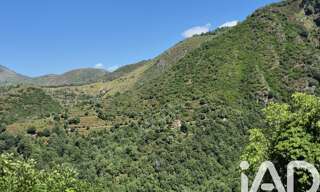 Terrain  29398 m² à vendre à Erbajolo (20212)