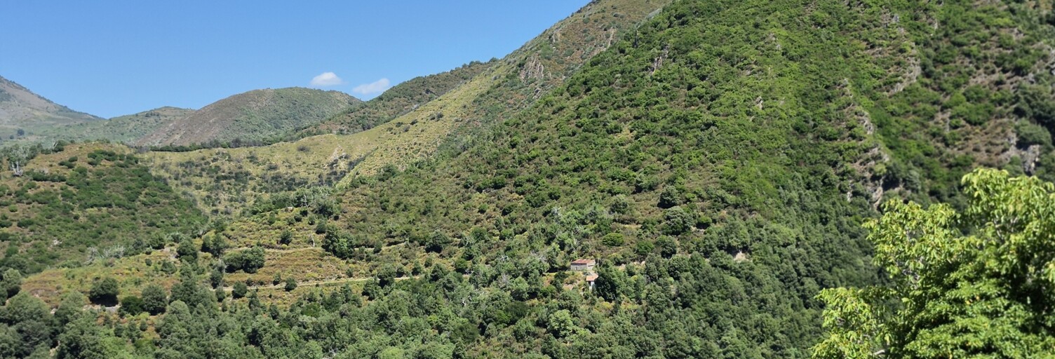 Terrain  45320 m² à vendre à Erbajolo (20212)