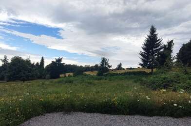 Terrain  58000 €