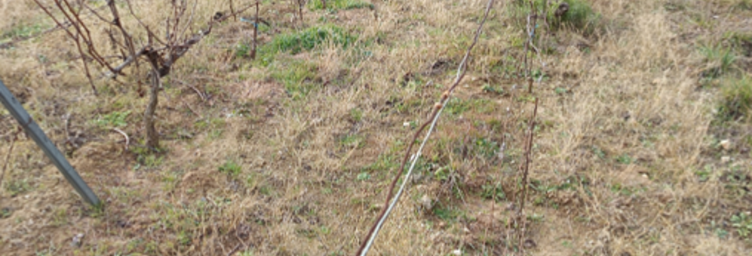 Terrain  65360 m² à vendre à Caramany (66720)