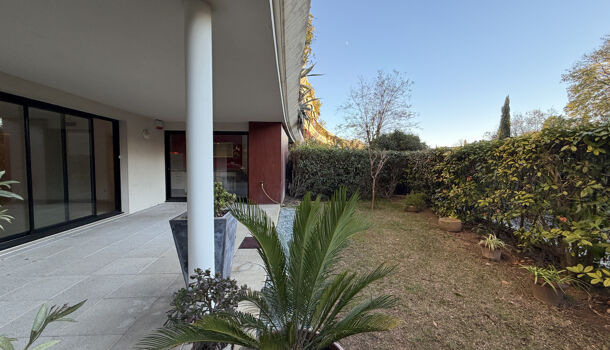 Appartement 3 pièces  à louer Montpellier 34090