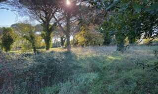 Terrain  1080 m² à vendre à Langon (33210)