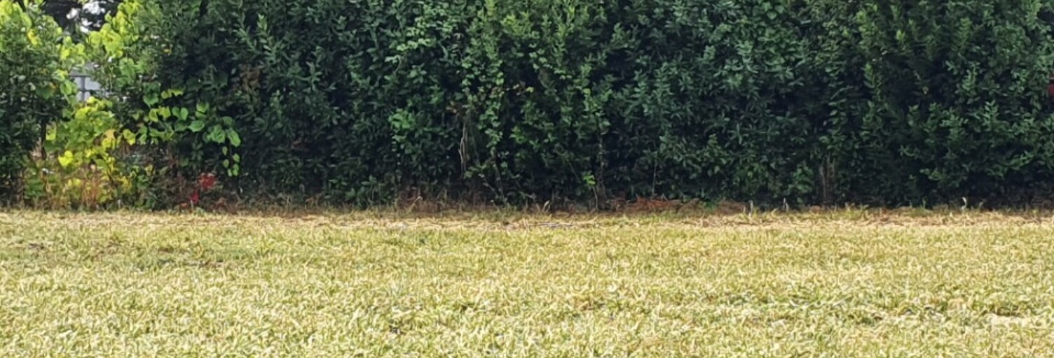 Terrain  550 m² à vendre à Samonac (33710)