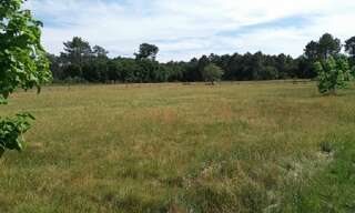 Terrain  518 m² à vendre à Le Barp (33114)