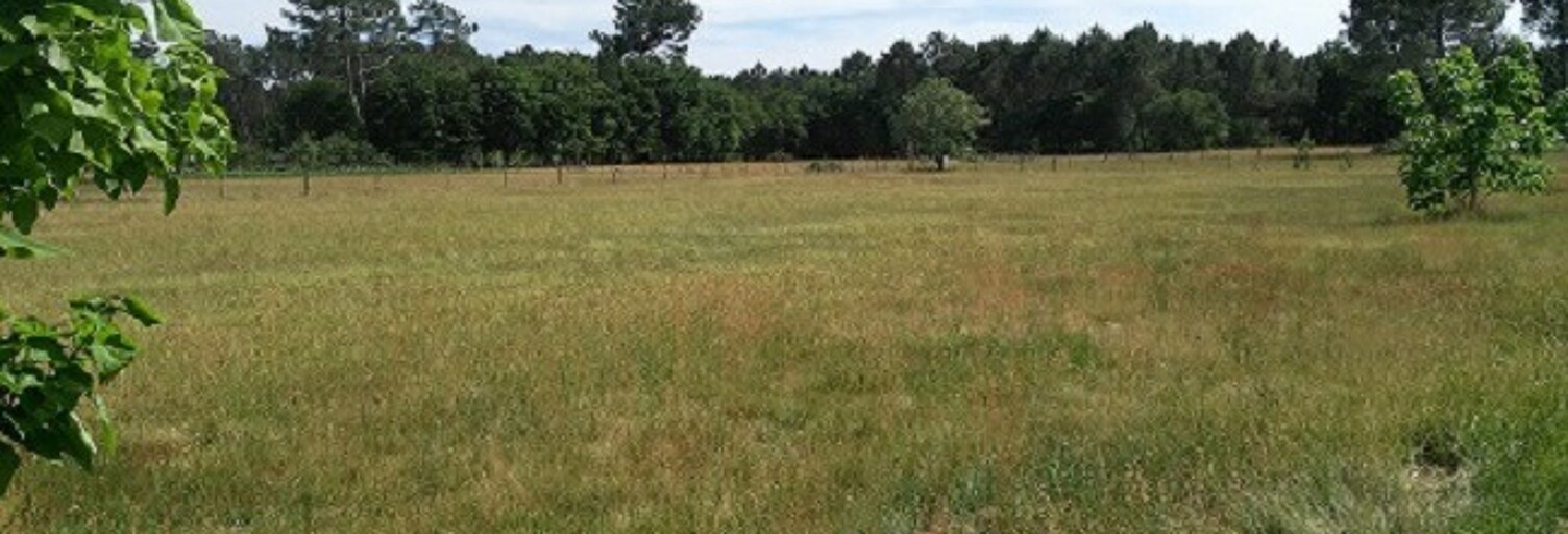 Terrain  518 m² à vendre à Le Barp (33114)