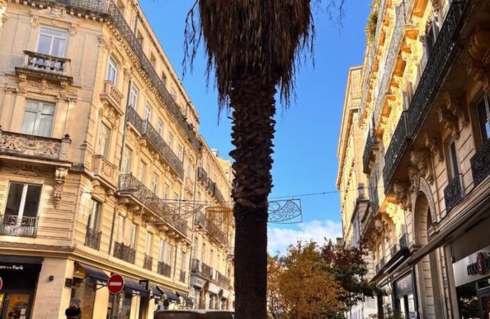 Cession de droit au bail – Boutique d’angle – Montpellier Écusson — photo 3