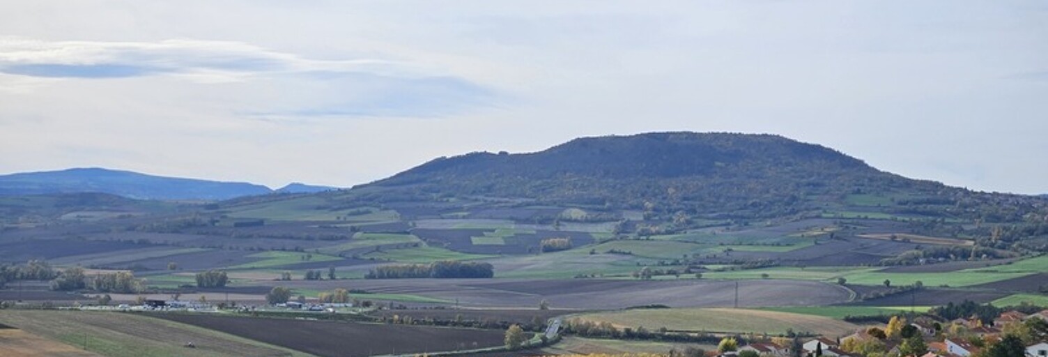 Terrain  1598 m² à vendre à Veyre-Monton (63960)