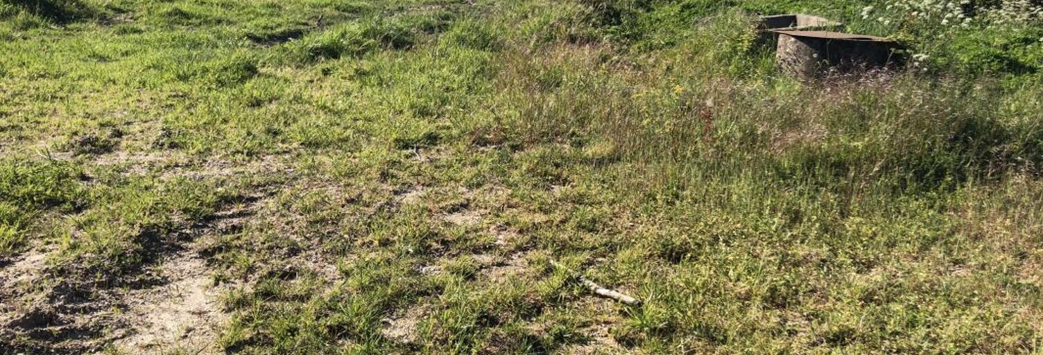 Terrain 1057 m² à construire Pugnac (33710)